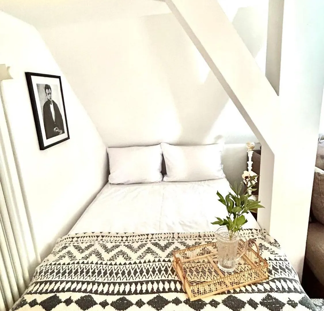 Appartement Altstadtloft Straubing Duitsland